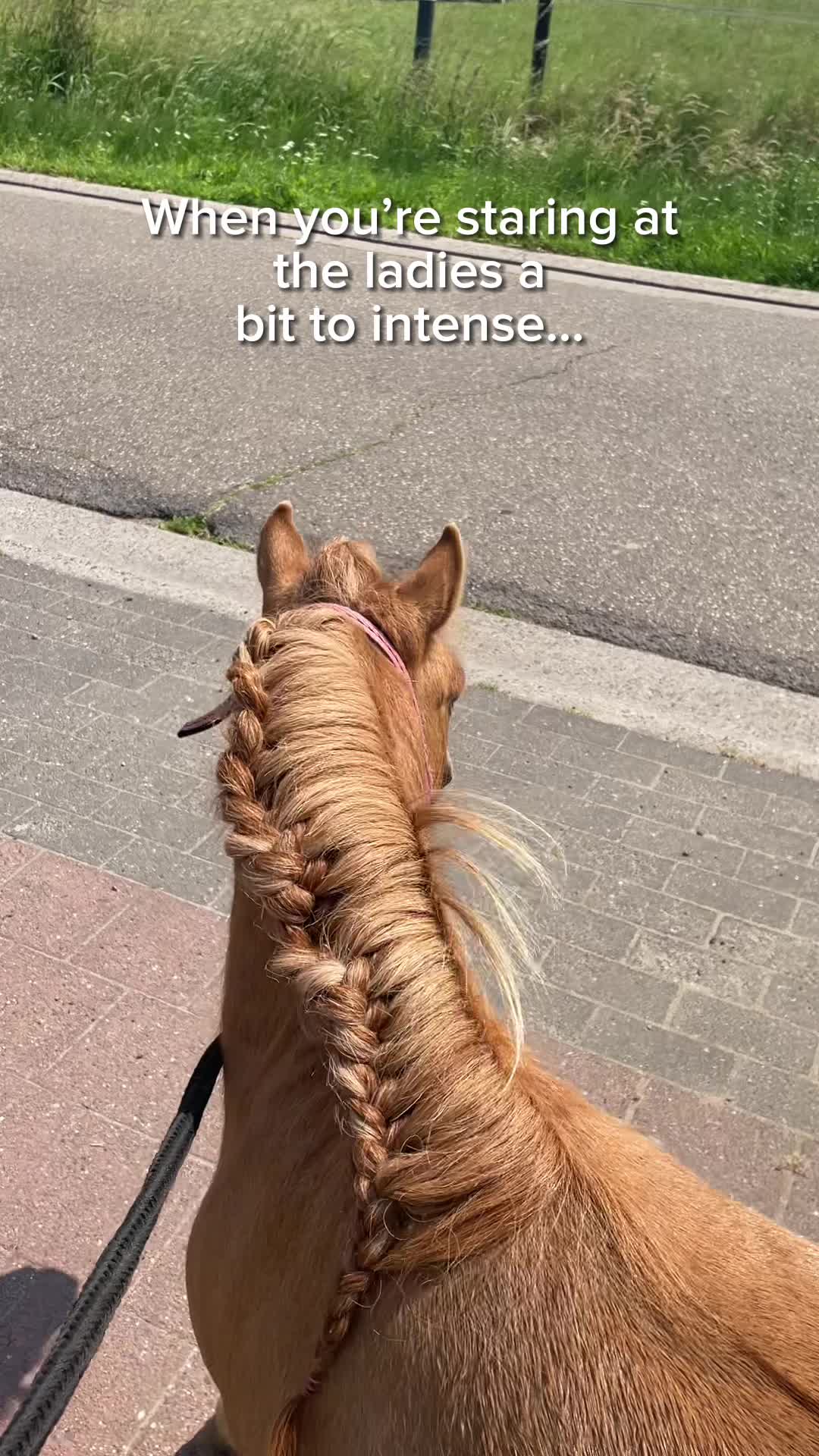 @equi.jcf