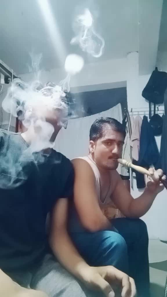 @gulfamdogar265