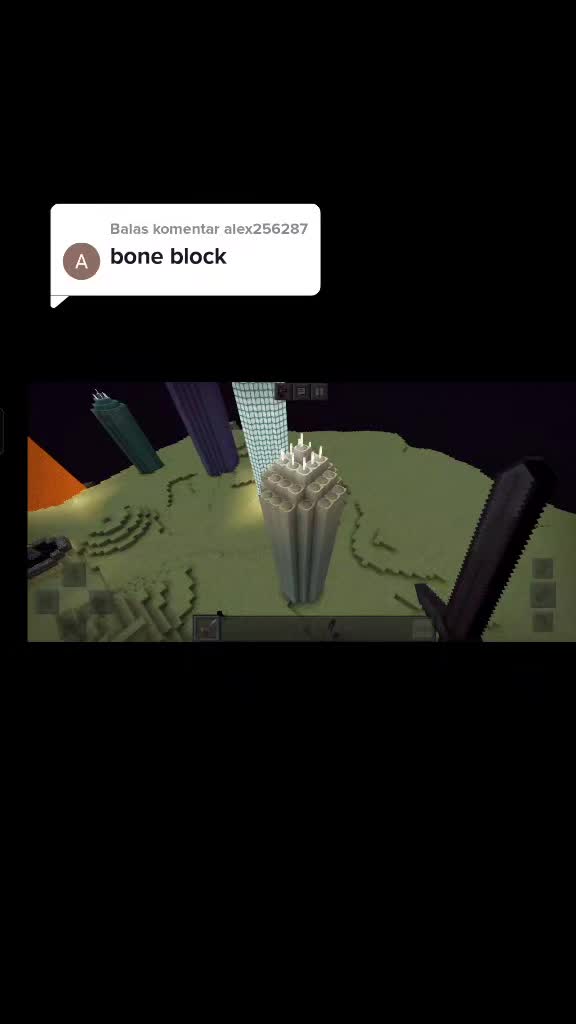 @Minecraft veteran