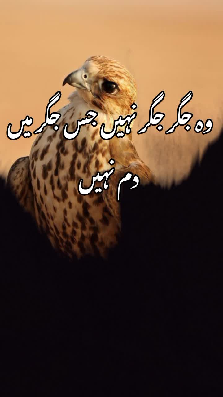 @BJ PATAN Bajuar 🦜🦜🦜🦜🦜💔