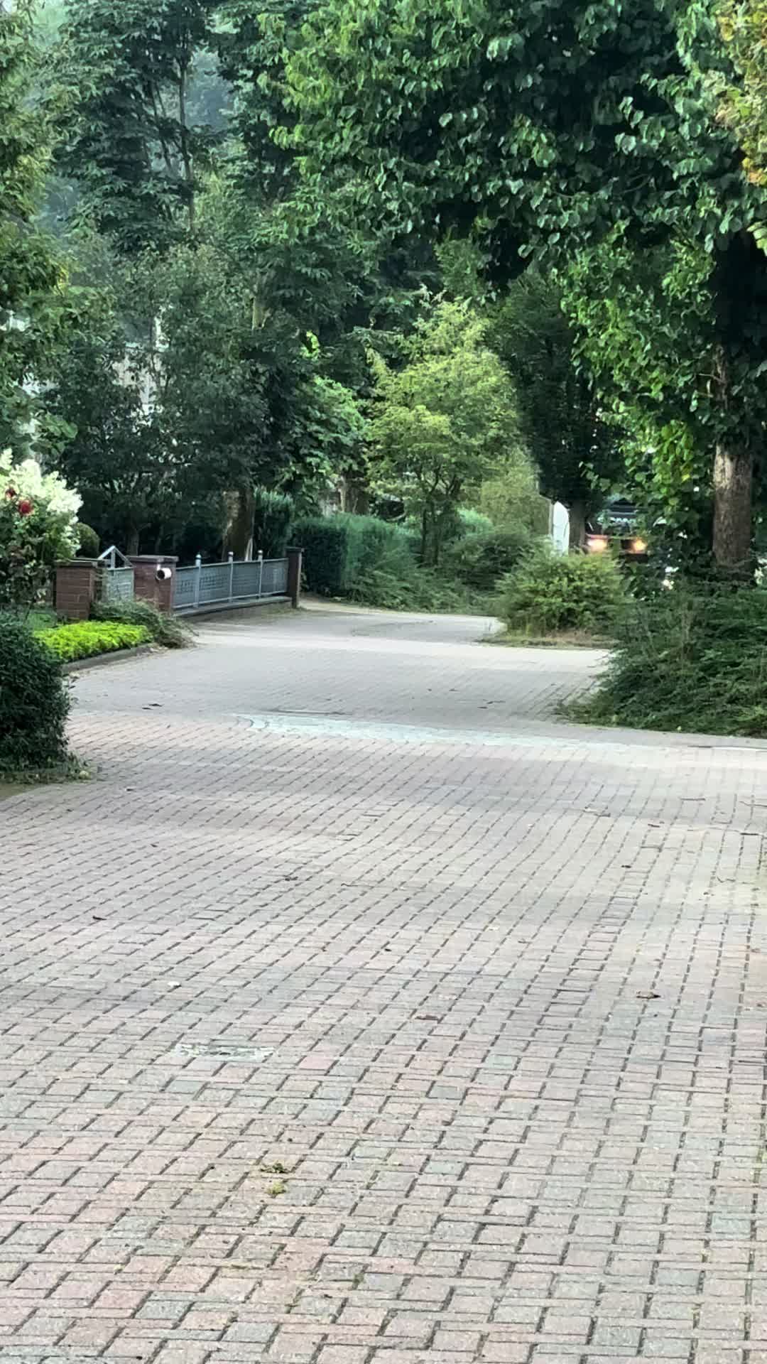 @Dieselknecht0305