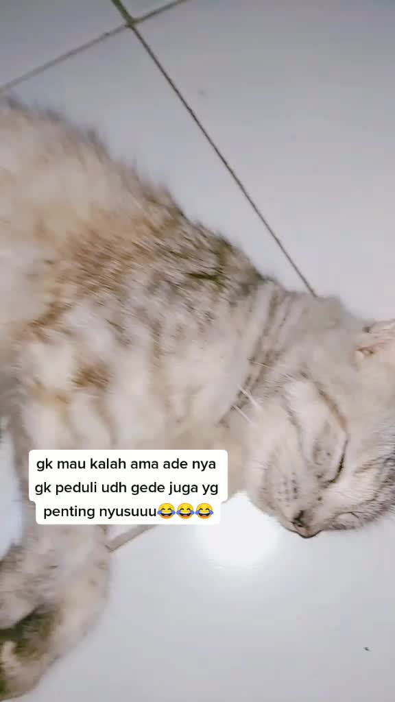 @beby all