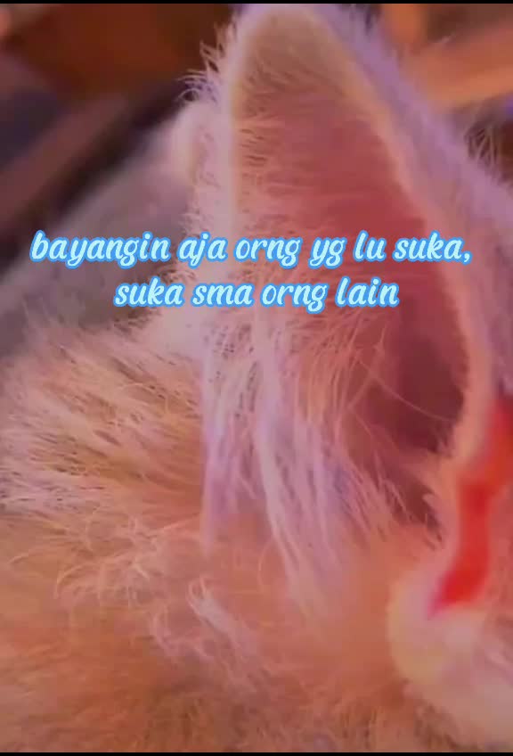 @Asal lo tau ya dek