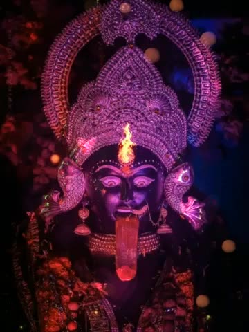 @kamalshamini3