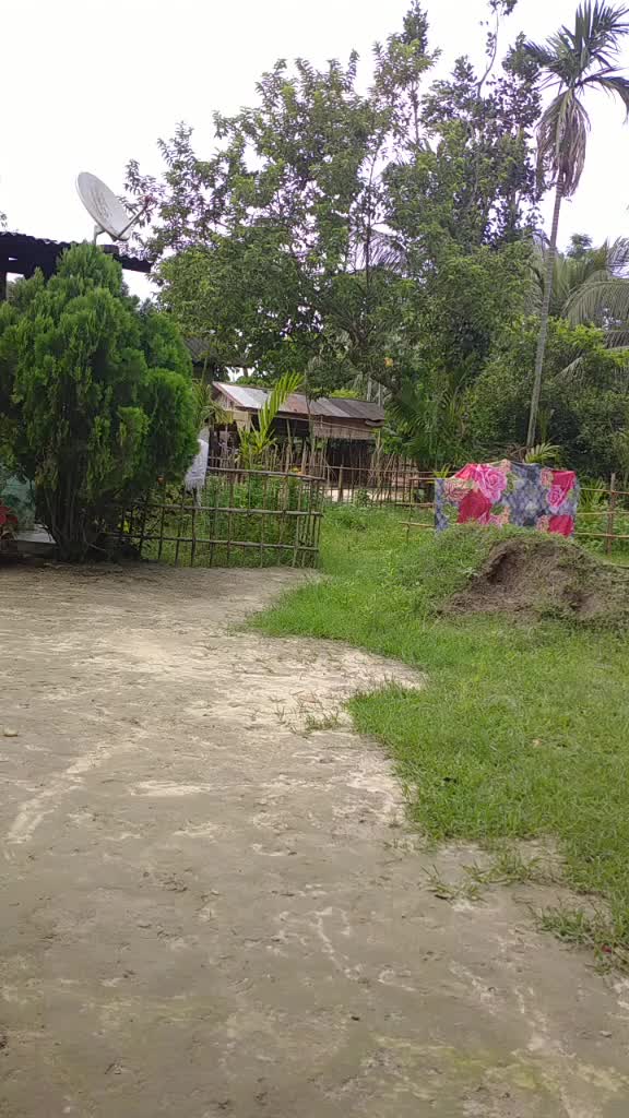 @Darshan Lamisane