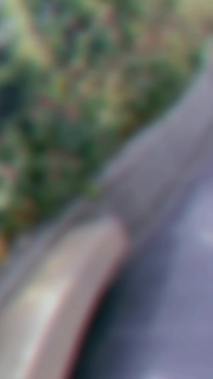@๐ฏ๐๐๐ ๐ฌ๐๐๐๐๐ง๐ฝโ๏ธ๐ค
