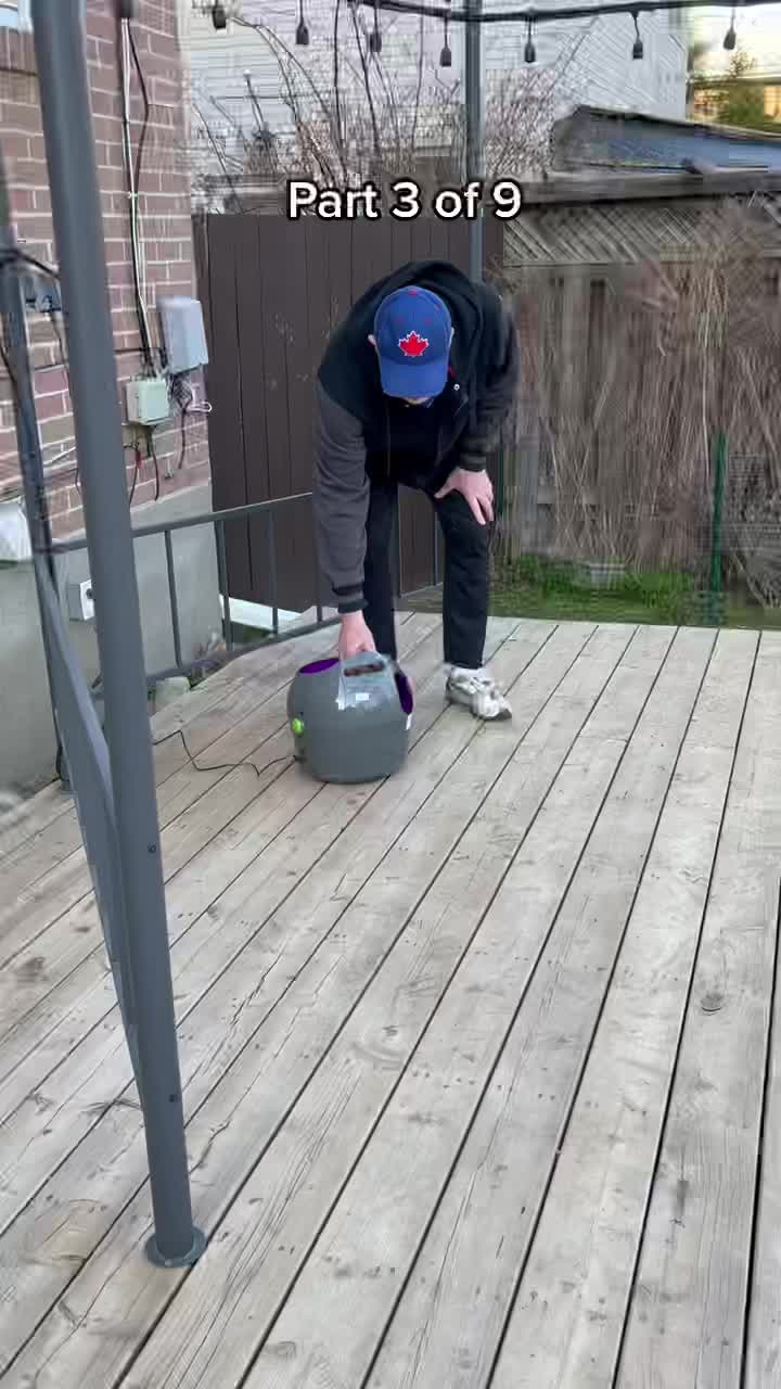 @ksdoggos