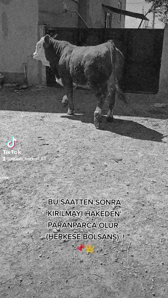 @BOZKURTLAR_TARIM.03