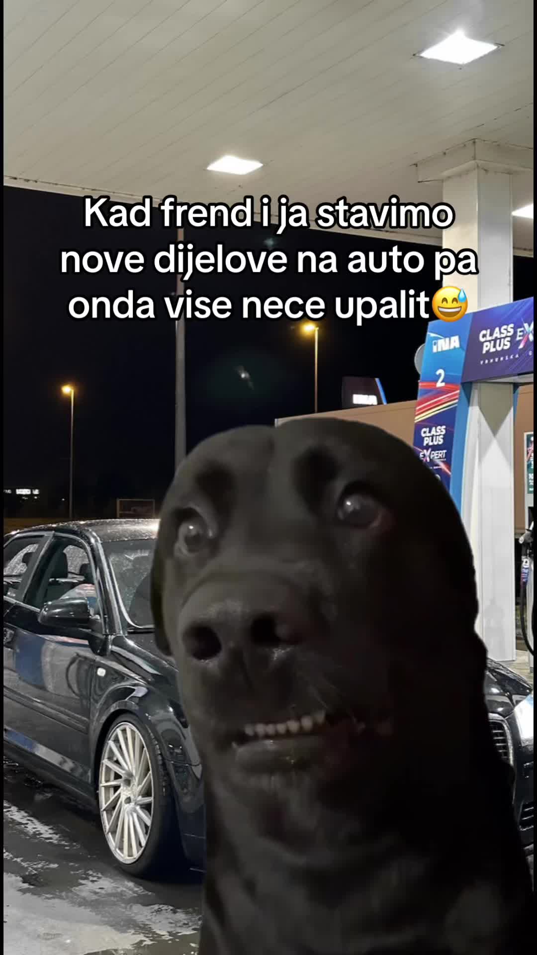 @Nikola