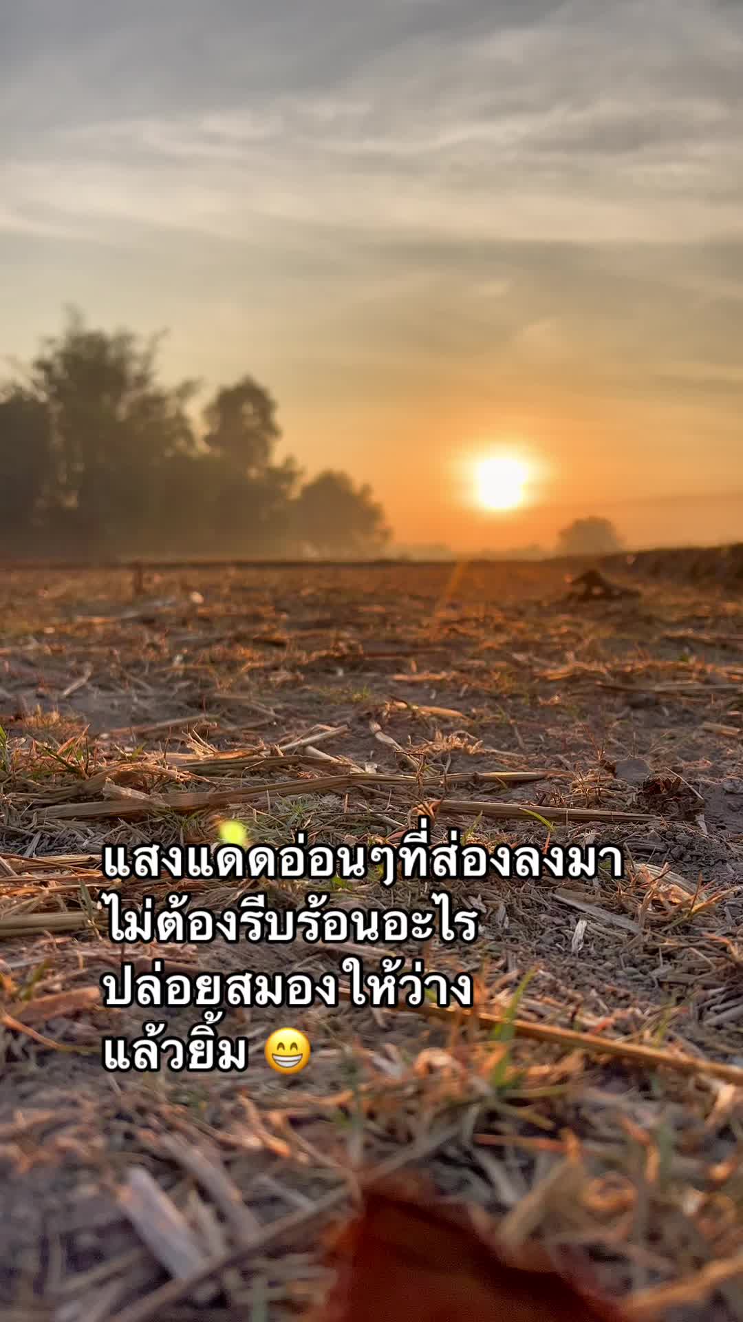 @Tor_peelatee