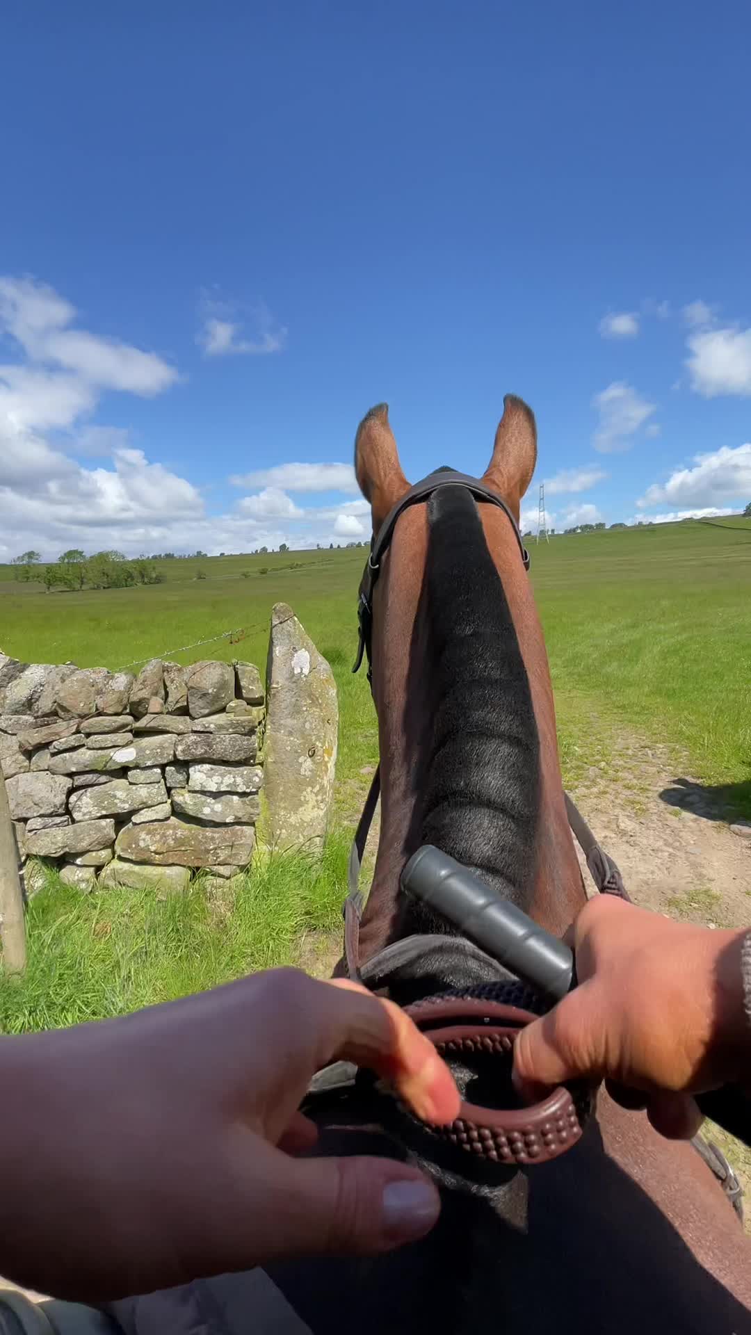 @Yardd | Equine Life Simplified