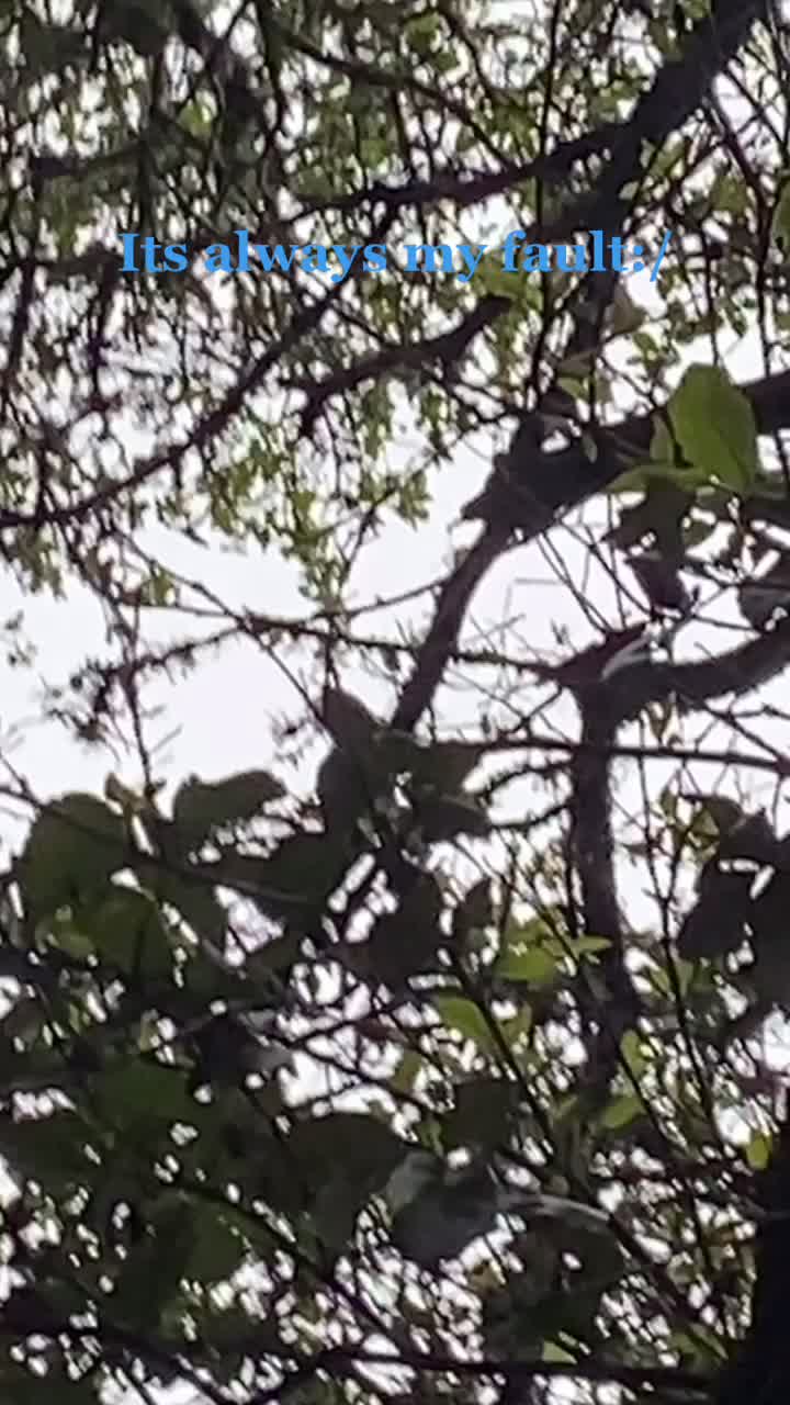 @jevwuwvehw