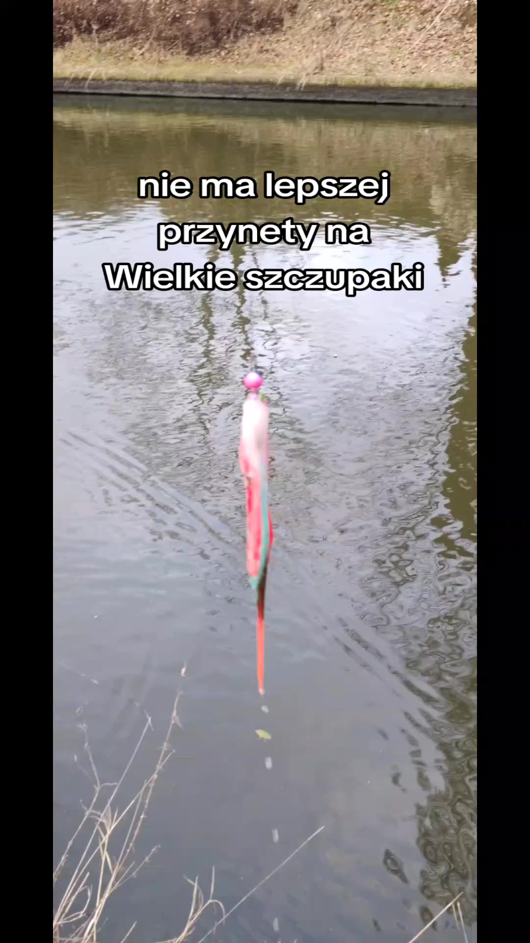 @mfly_lures