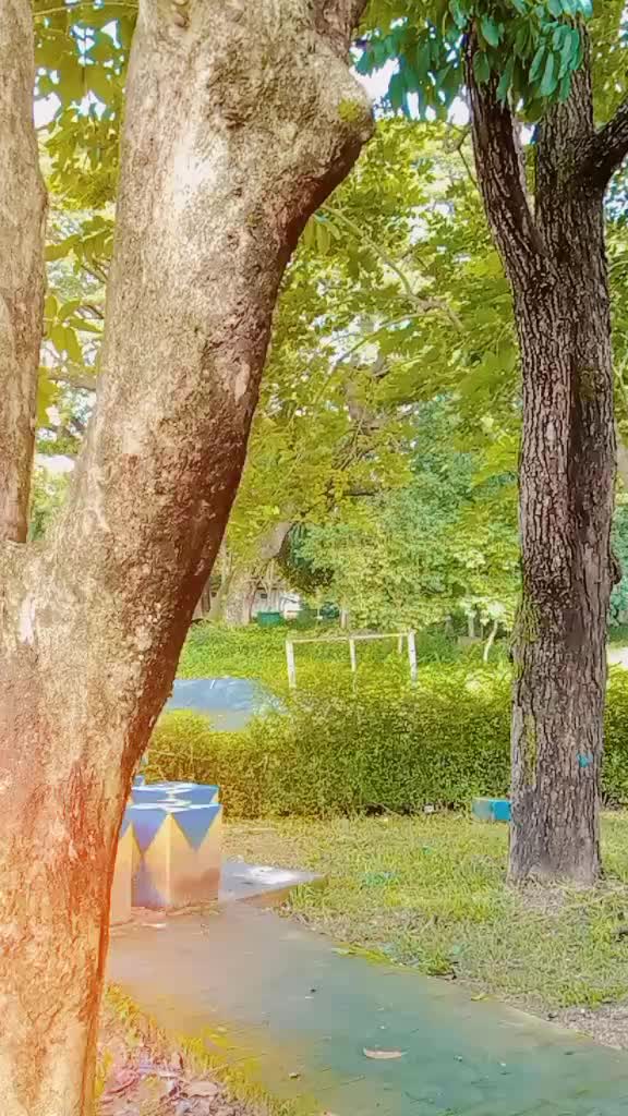 @Shwe Nyar Myay Travel & Tour