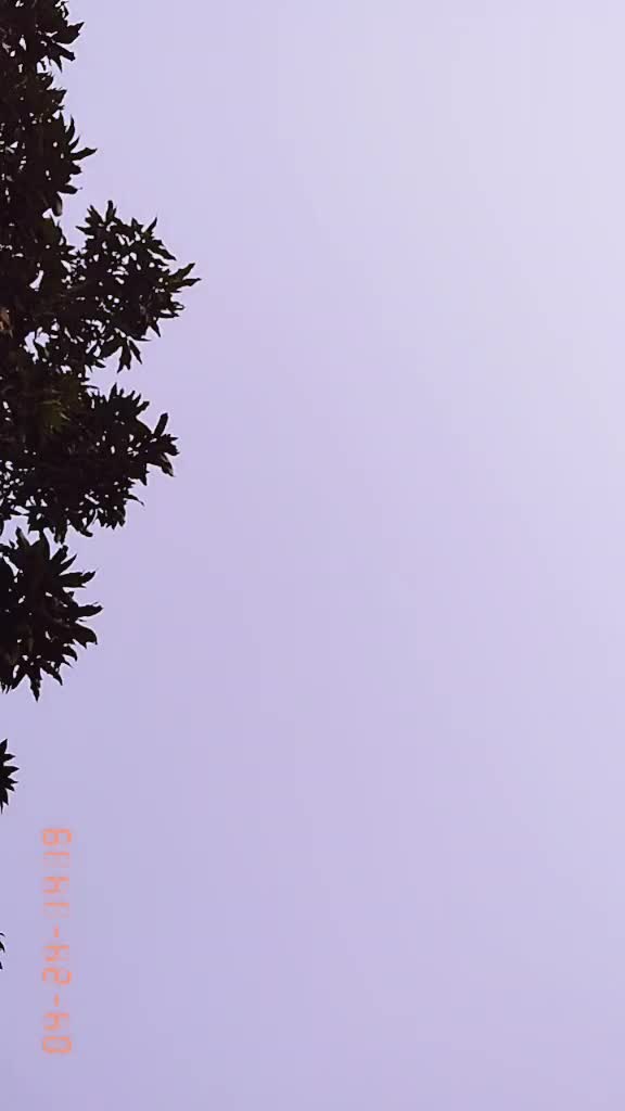 @umeshdas_35