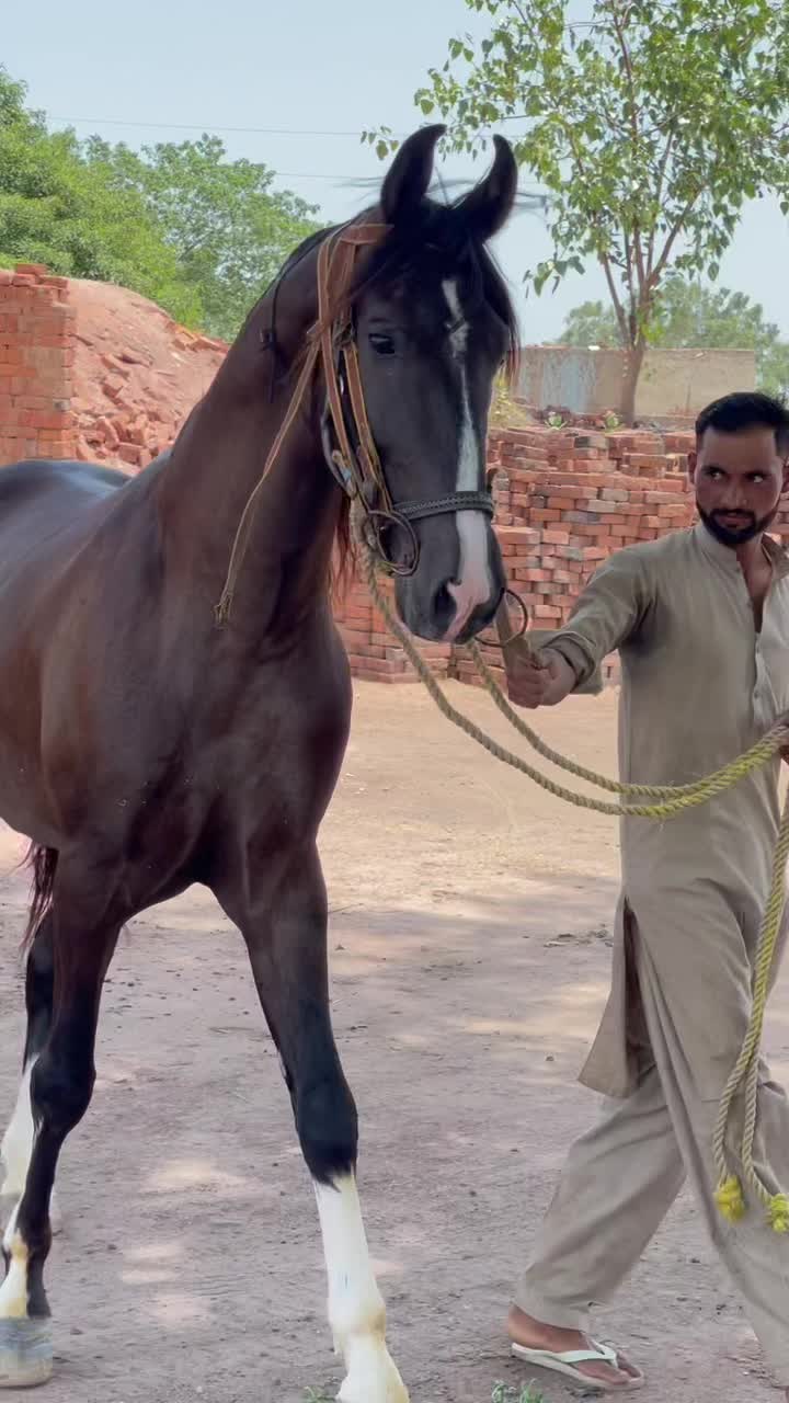 @chalirazagujjar005