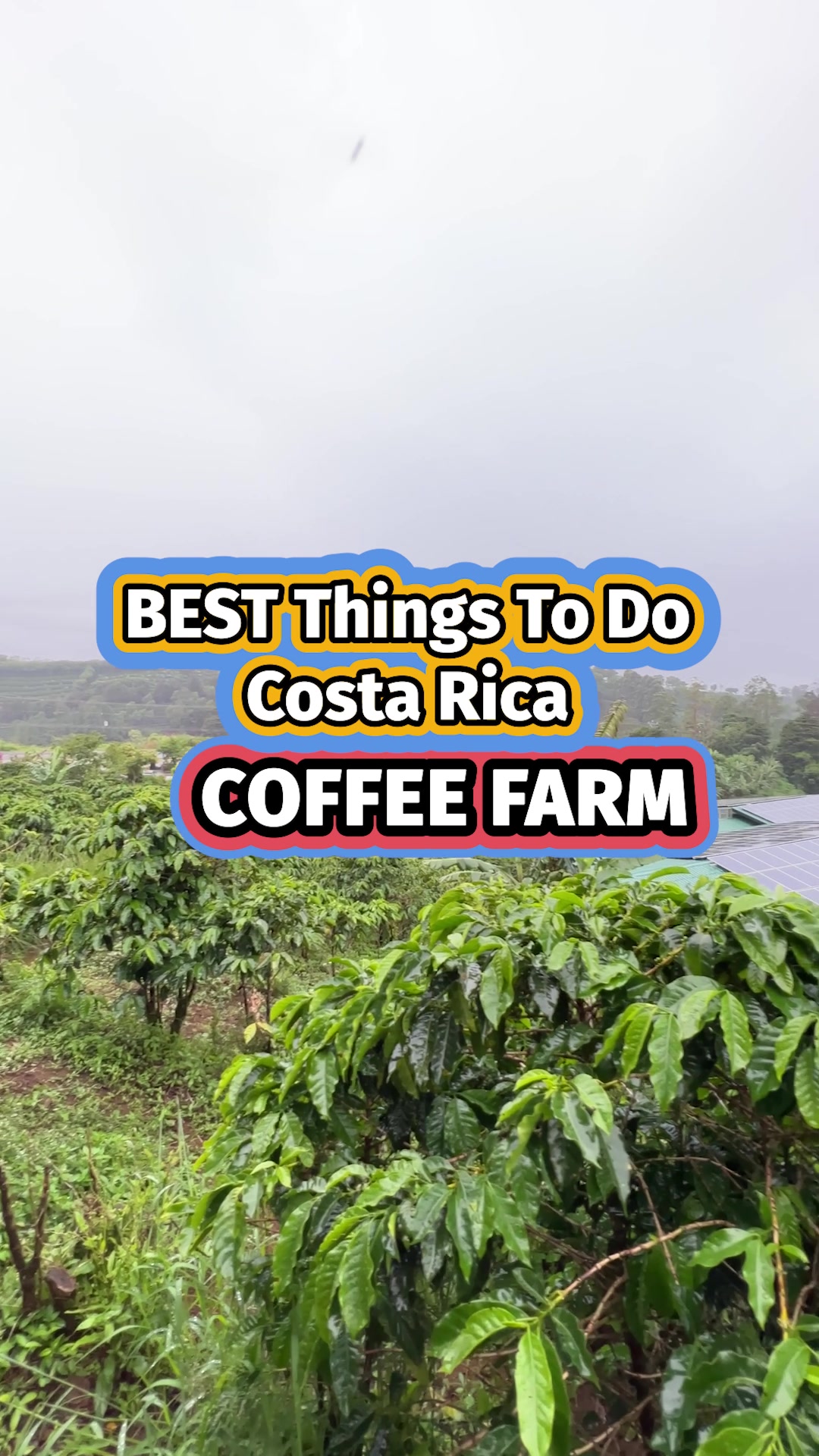 @Emma in Costa Rica