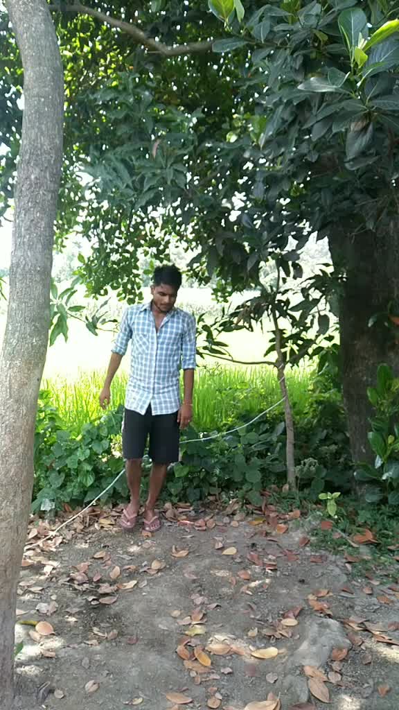 @Ankur Chauhan