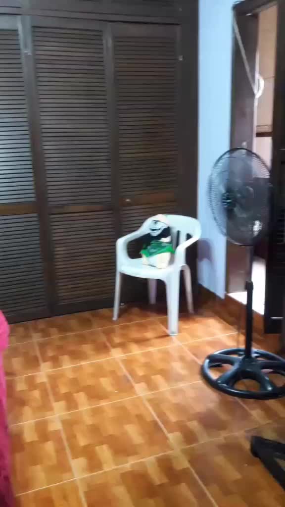 @Georgeboy000