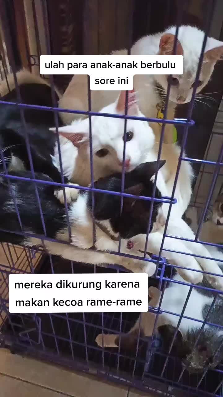 @Keluarga Manja R