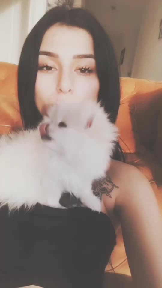 @Kalyoncurengin