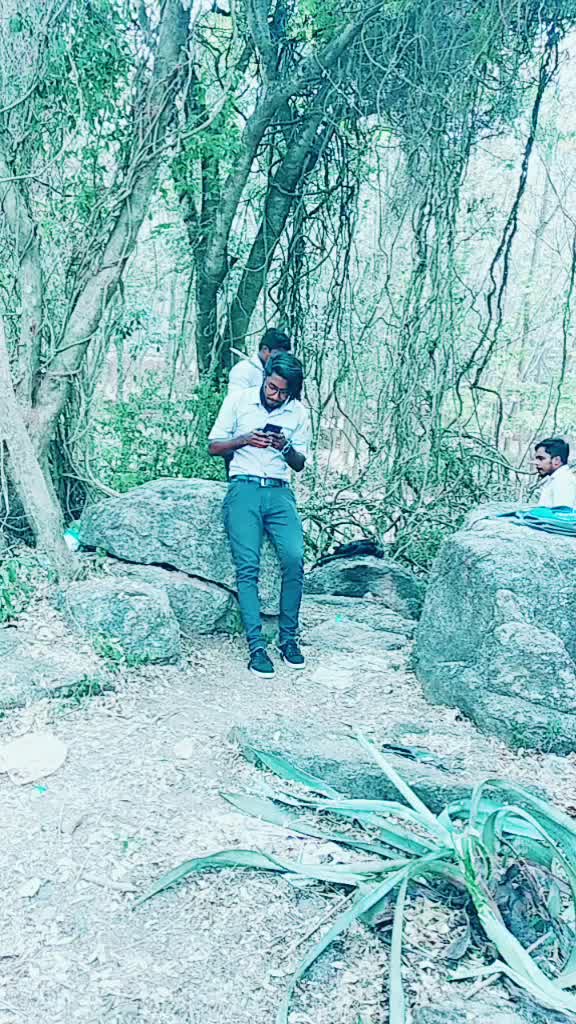 @Vipin Tintu Kalayil