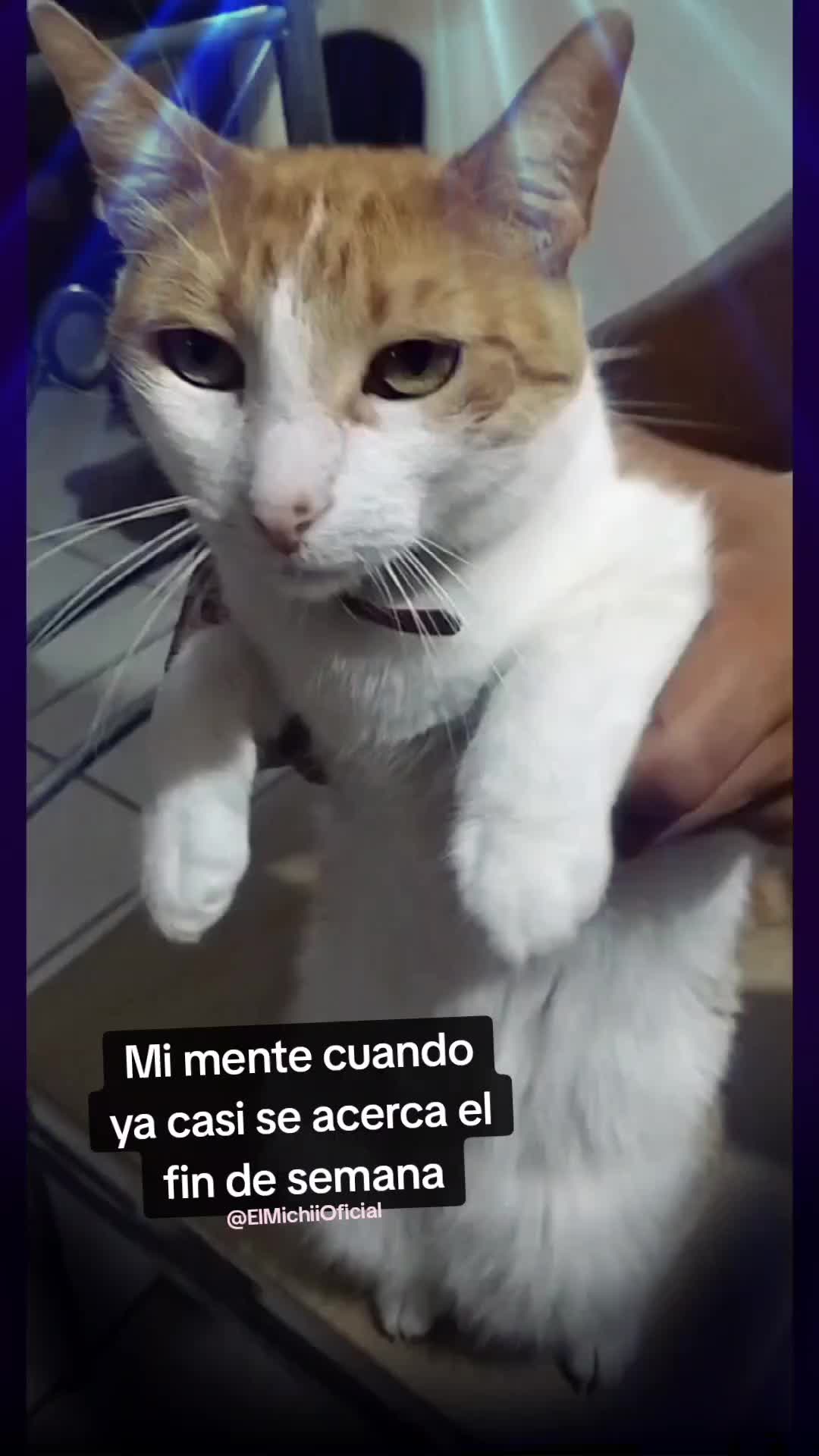 @El Michii