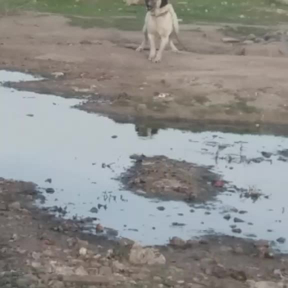 @Münir Sever