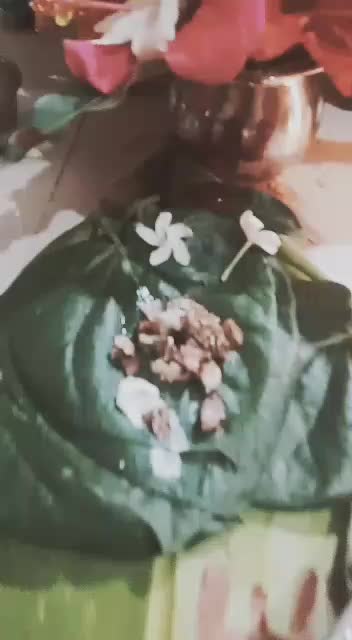 @A_us_h