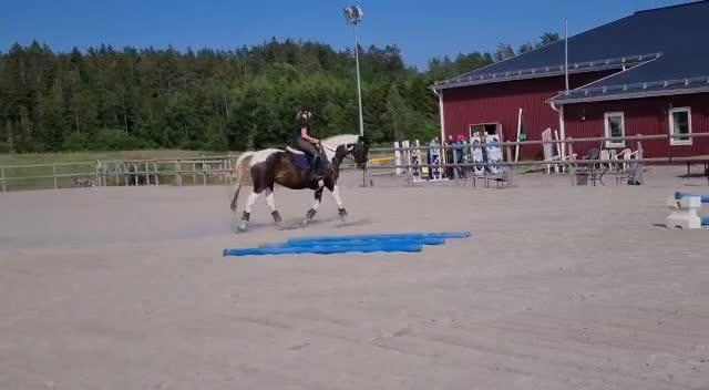 @Horses♡