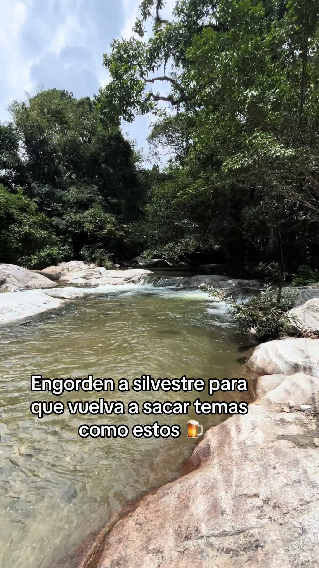 @S.C