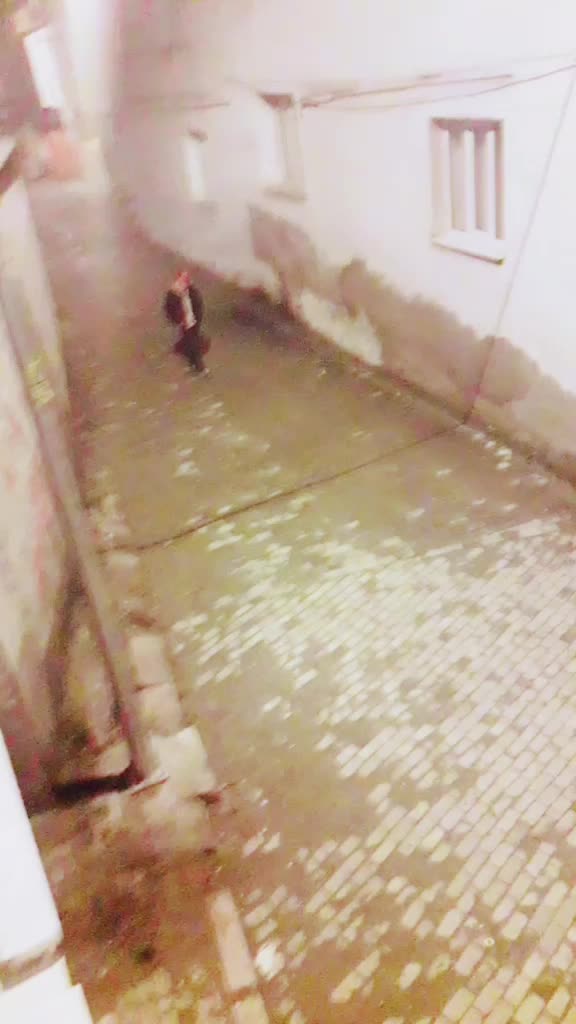@sarı0951