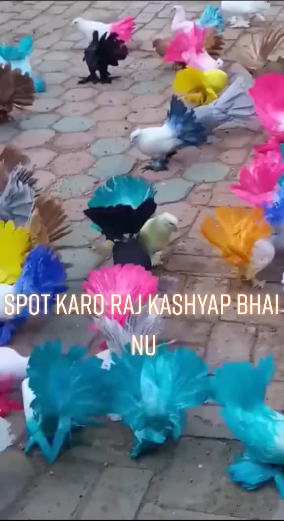 @user376385