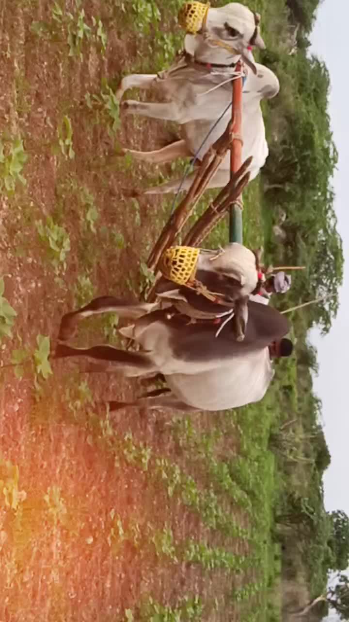 @THIRU_COMMANDO🇮🇳