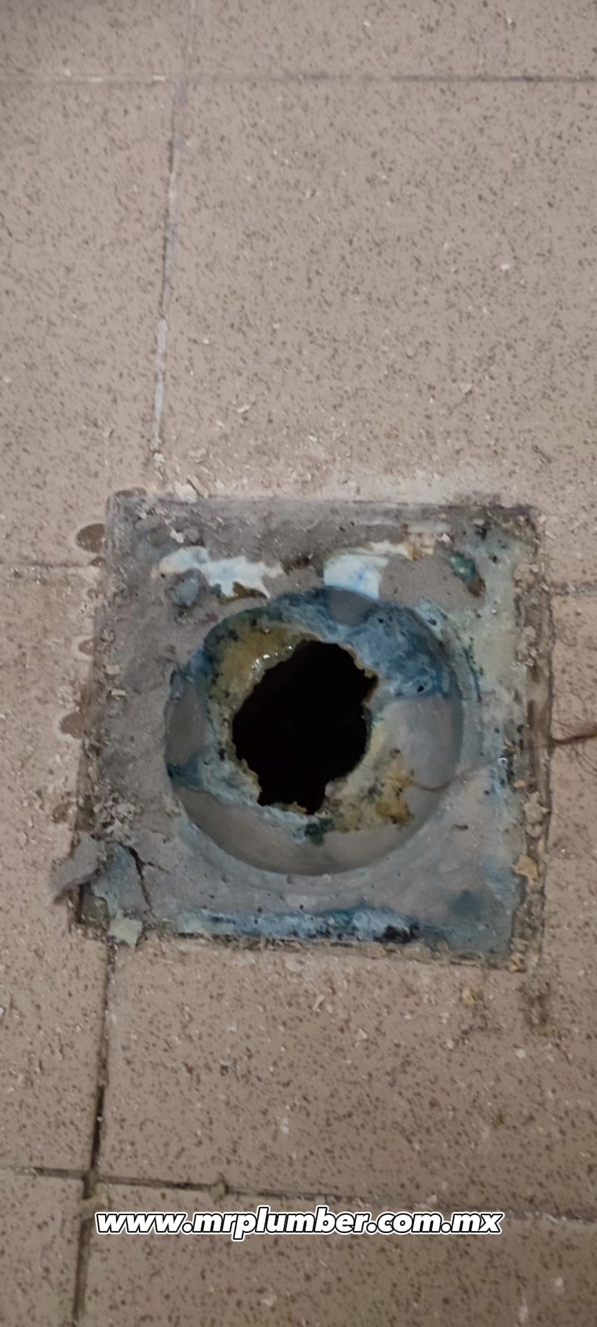 @Fontaneria MrPlumber