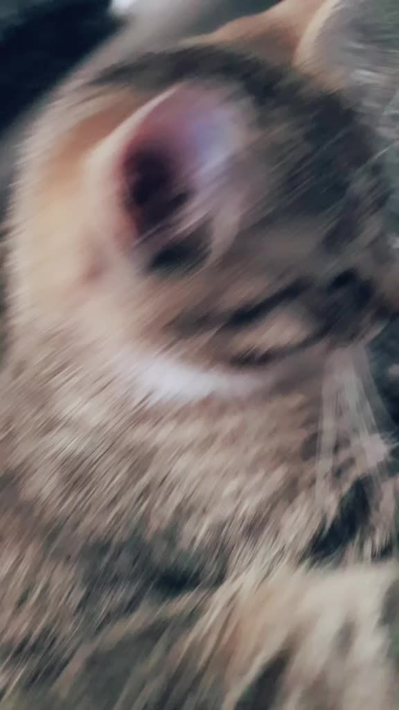 @🤪🤷♀️