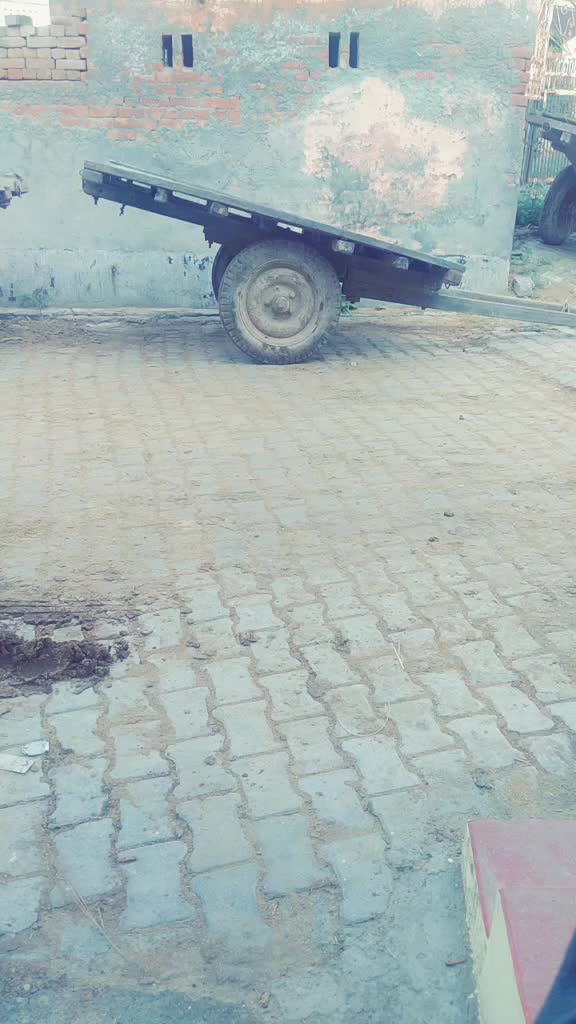 @मोल्ड जाट