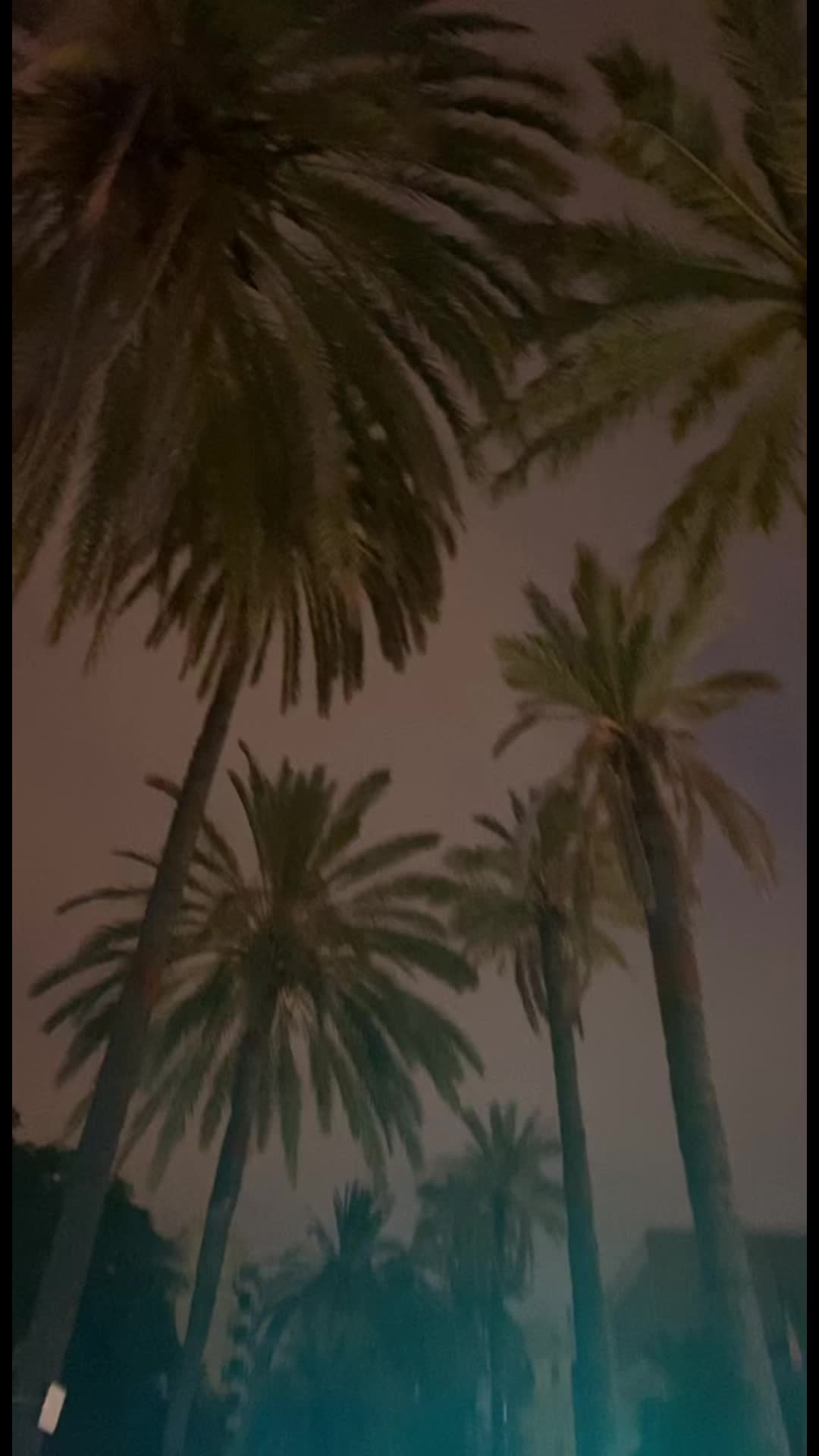 @faby.layer