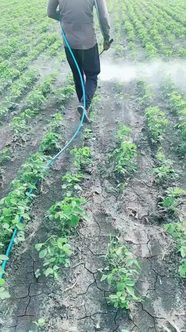 @S&Aacute;J&Iuml;D_SH&Eacute;&Icirc;KH