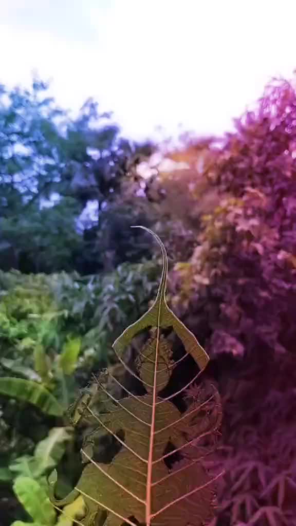 @Jitendra Kumar