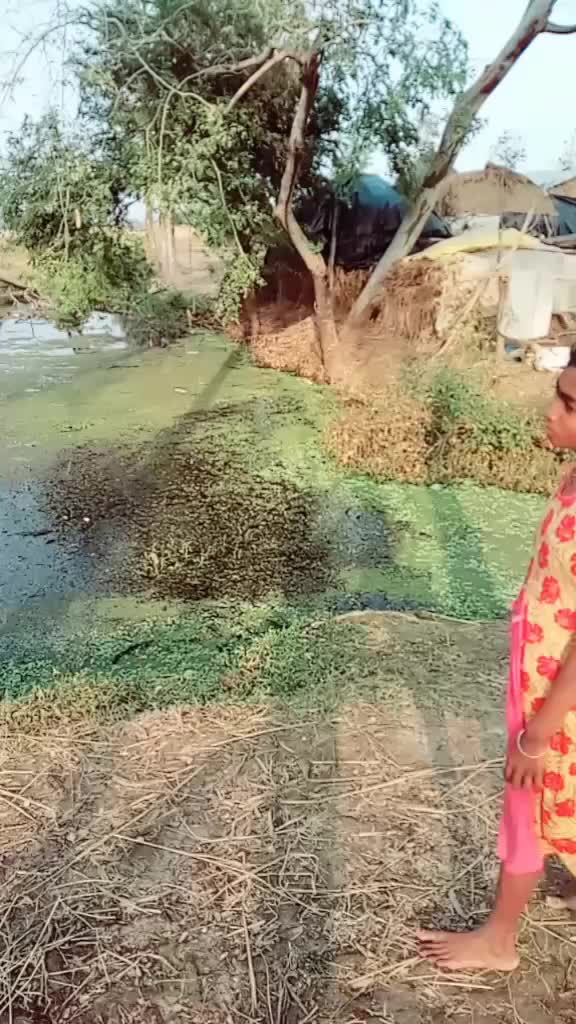 @Sukanta Das