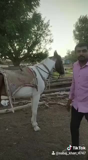 @Dhaval JaNi