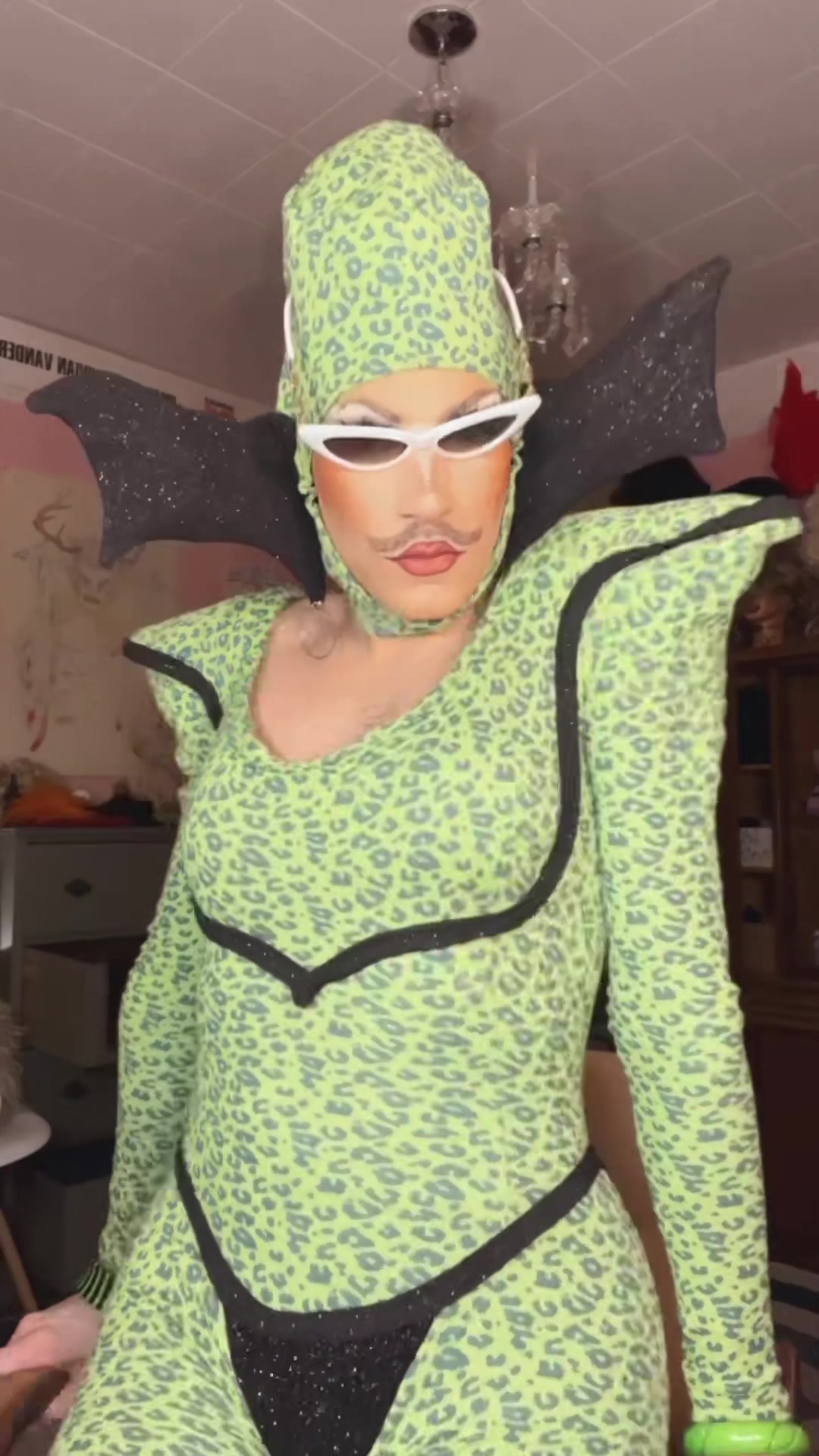 @Vivian Vanderpuss