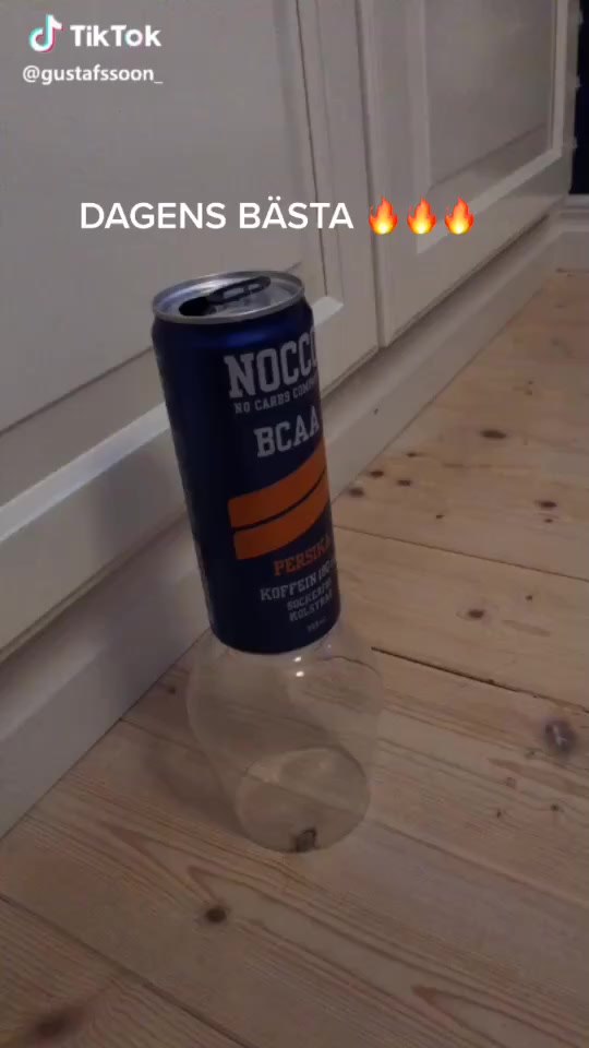 @Louise Nobel