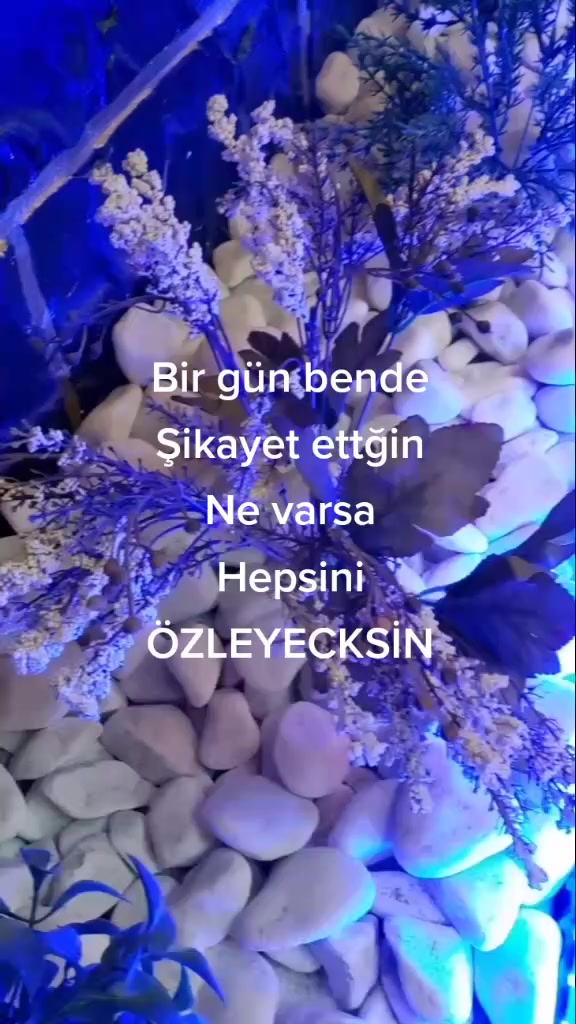 @Meryem G&ouml;z&uuml;b&uuml;y&uuml;k