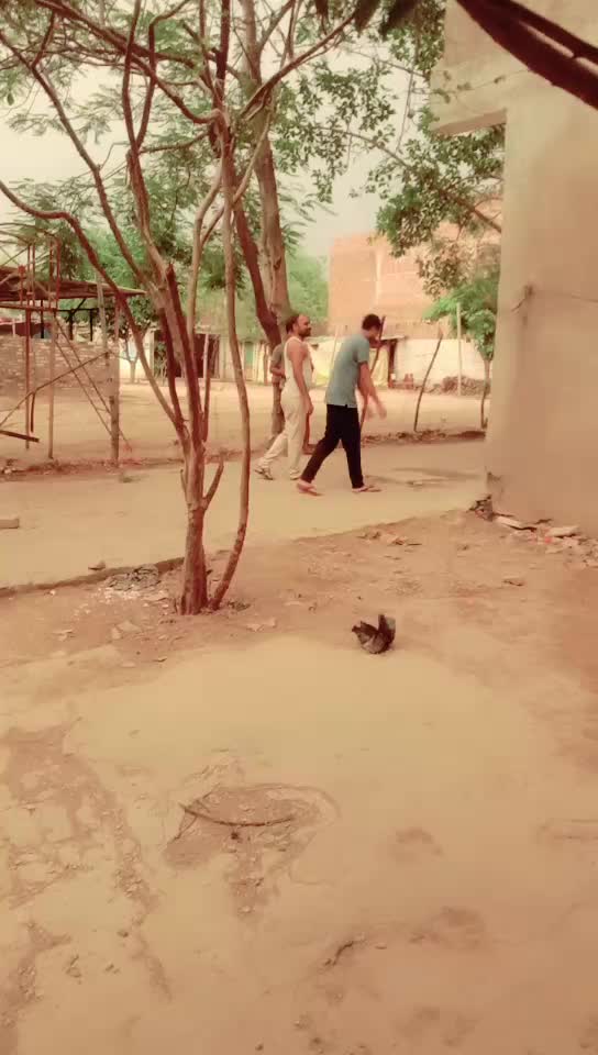 @umesh yadav
