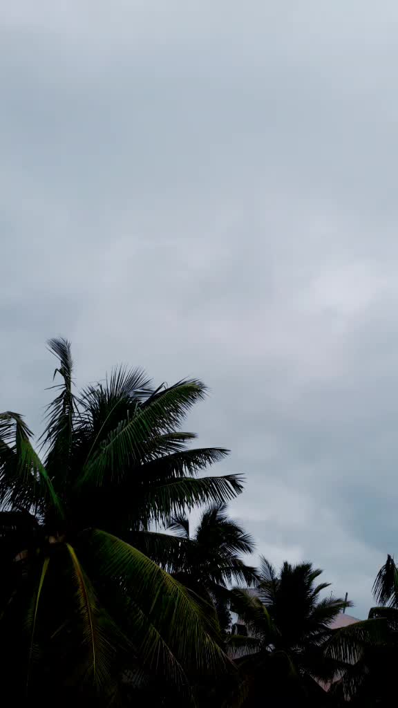 @Ansh Dutta