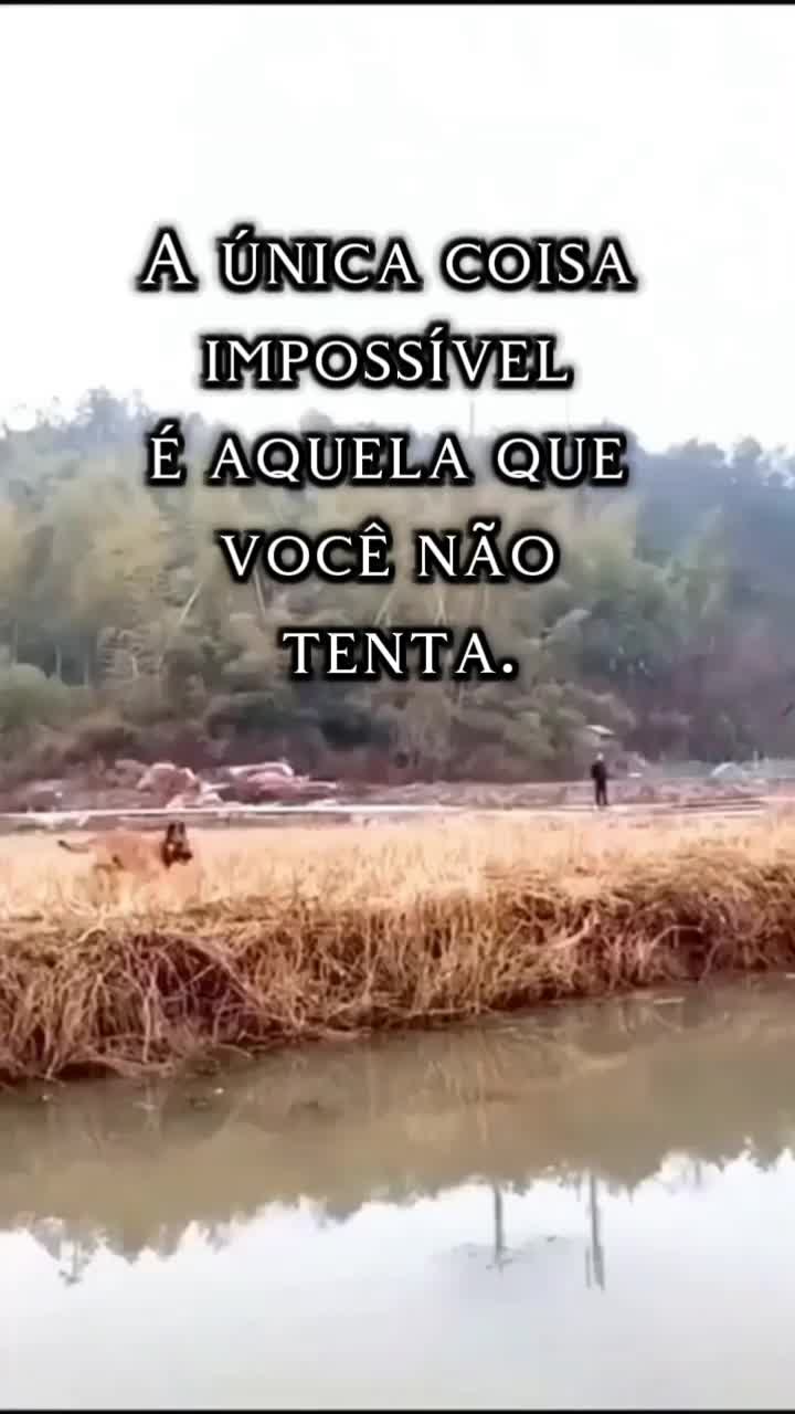 @Pedro_Paulo.oficial