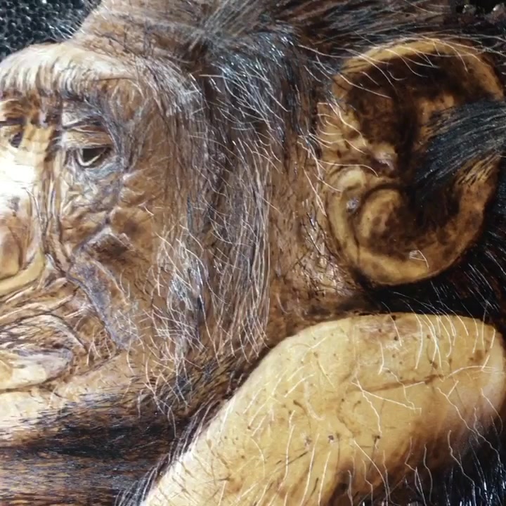@Pyrography Dude