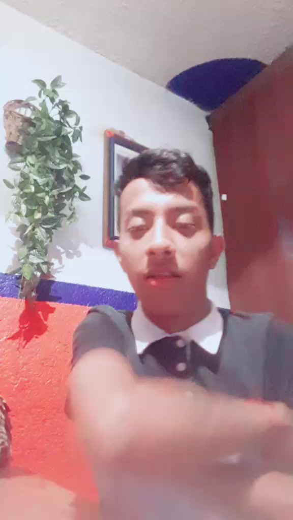 @chematellez52
